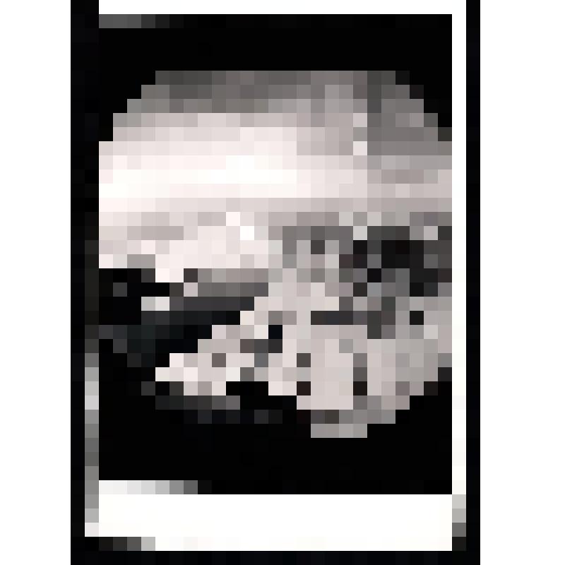 Фотография. Аэрофотосъемка территории музея-заповедника "Коломенское"