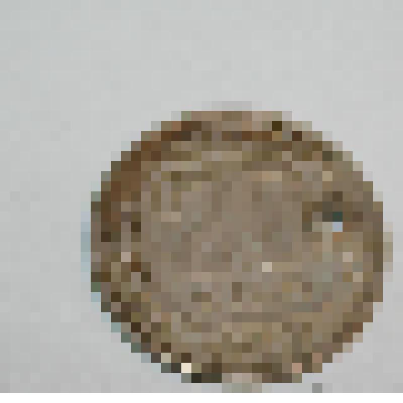 Монета. 20 копеек