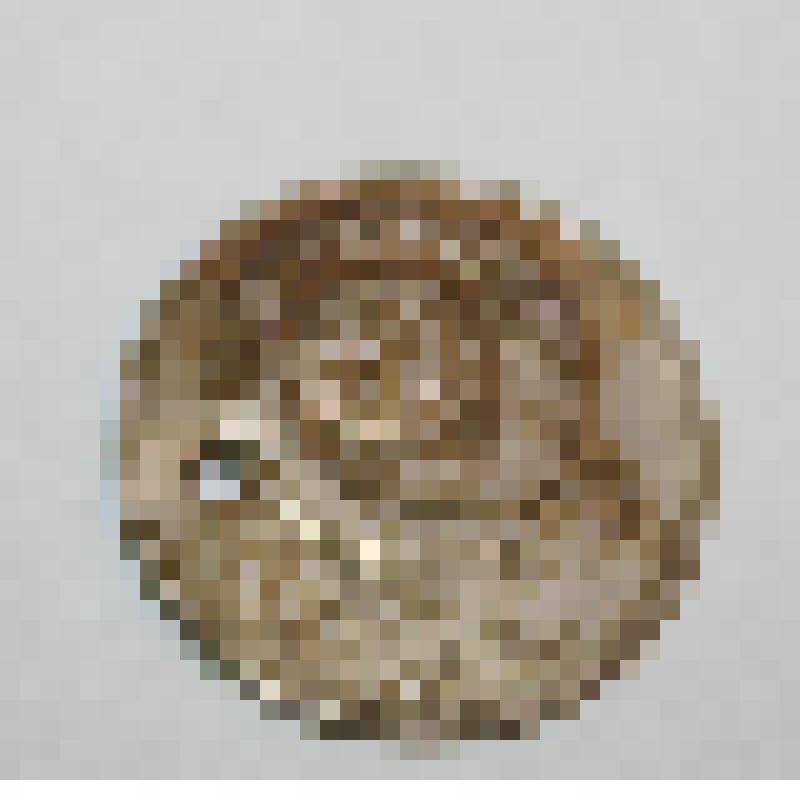 Монета. 20 копеек