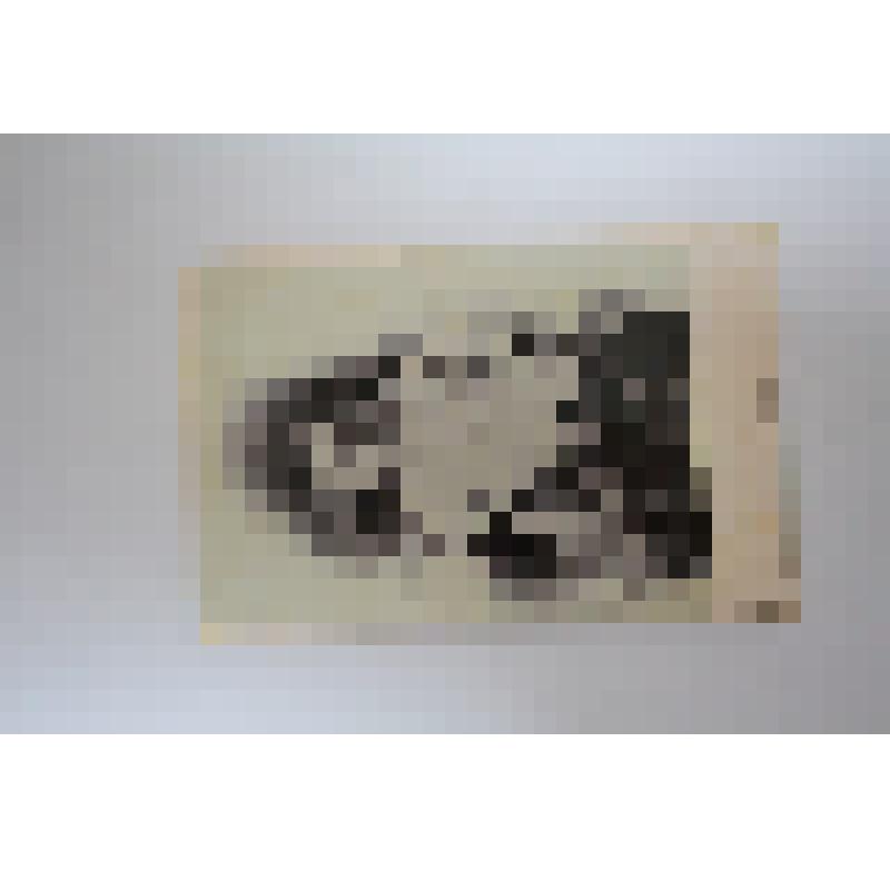 Фотопортрет