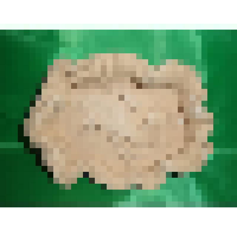 Панно из филимоновской необожженной глины "Рыбка"