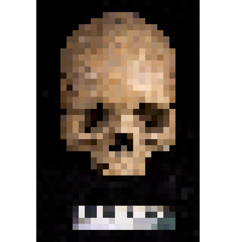 Череп. Финны