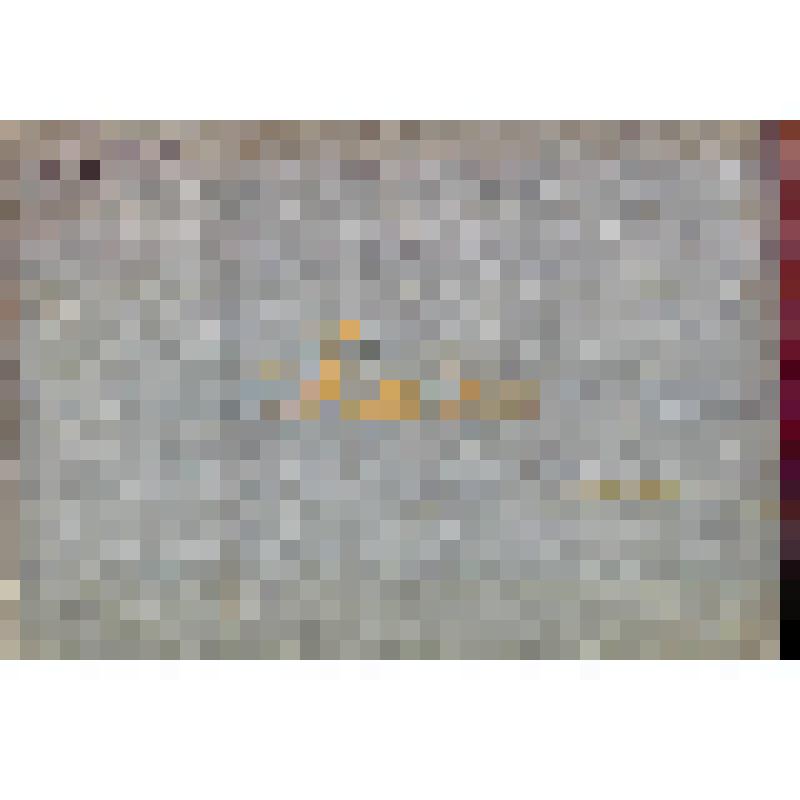 Документ. Альбом "История пионерской организации г. Ялуторовска". Тюменская обл., г. Ялуторовск. 1950-1960-е годы