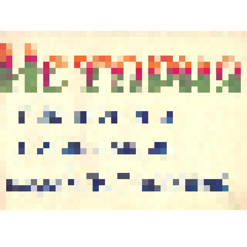 Документ. Альбом "История пионерской организации г. Ялуторовска". Тюменская обл., г. Ялуторовск. 1950-1960-е годы