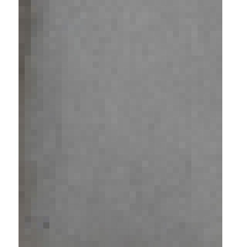 Портрет вельможи