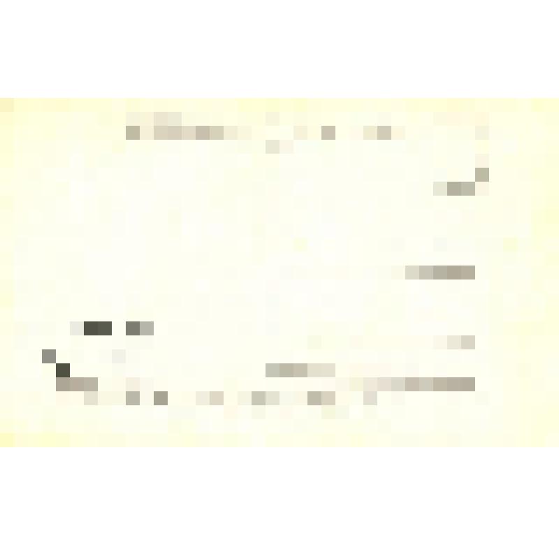 Открытое письмо