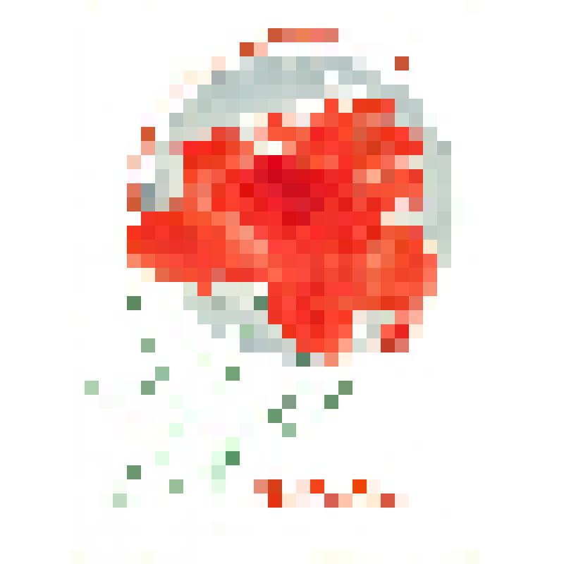 Открытка. Международный женский день 8 марта