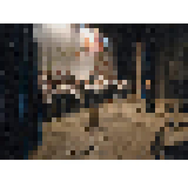 Ф/цв. Концерт Архиерейского хора в ЦНТ Дружба г. Энгельс. 15.05.2016