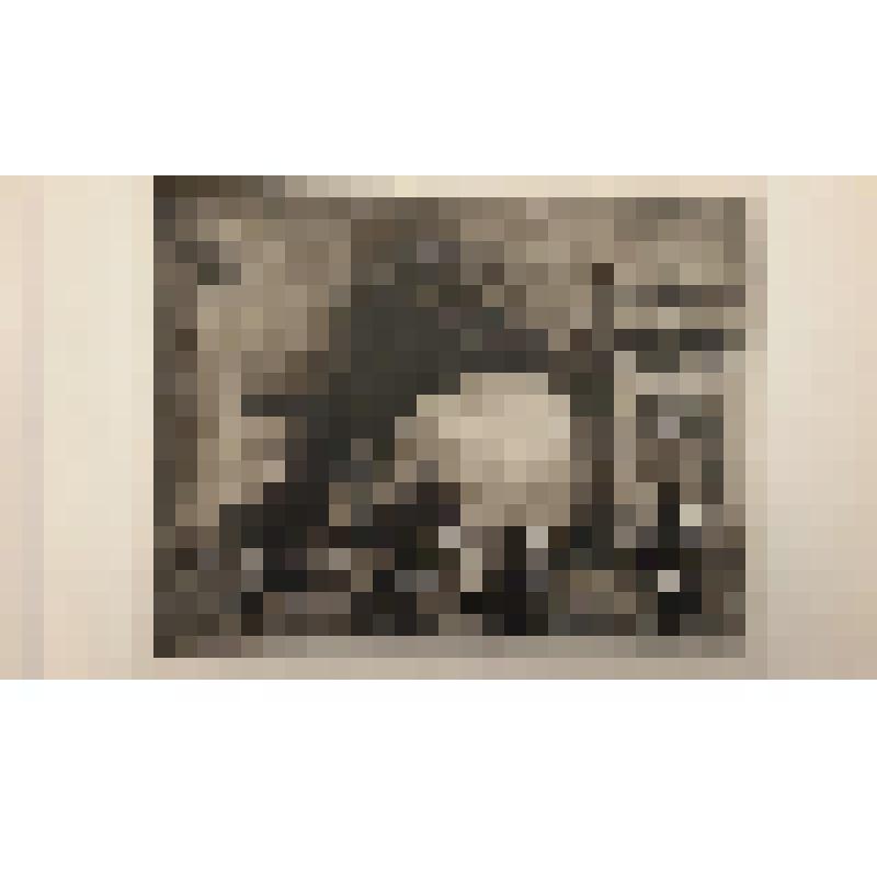 Во времена Юстиниана. Malcolm C. Salamon, London