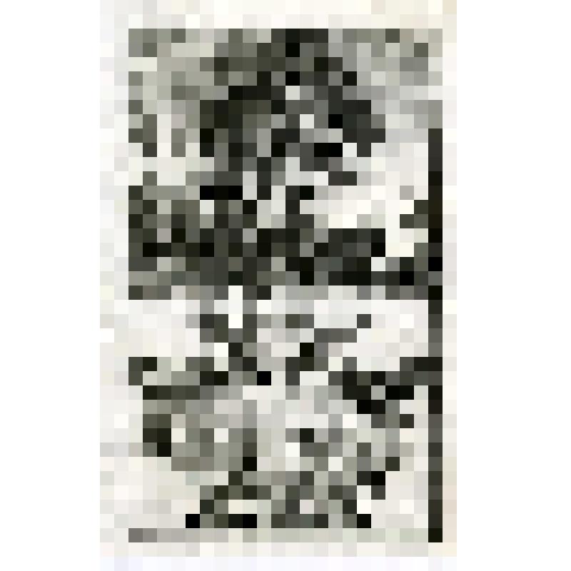 Офорт. Лист 128. Иллюстрации к Книге пророка Софонии