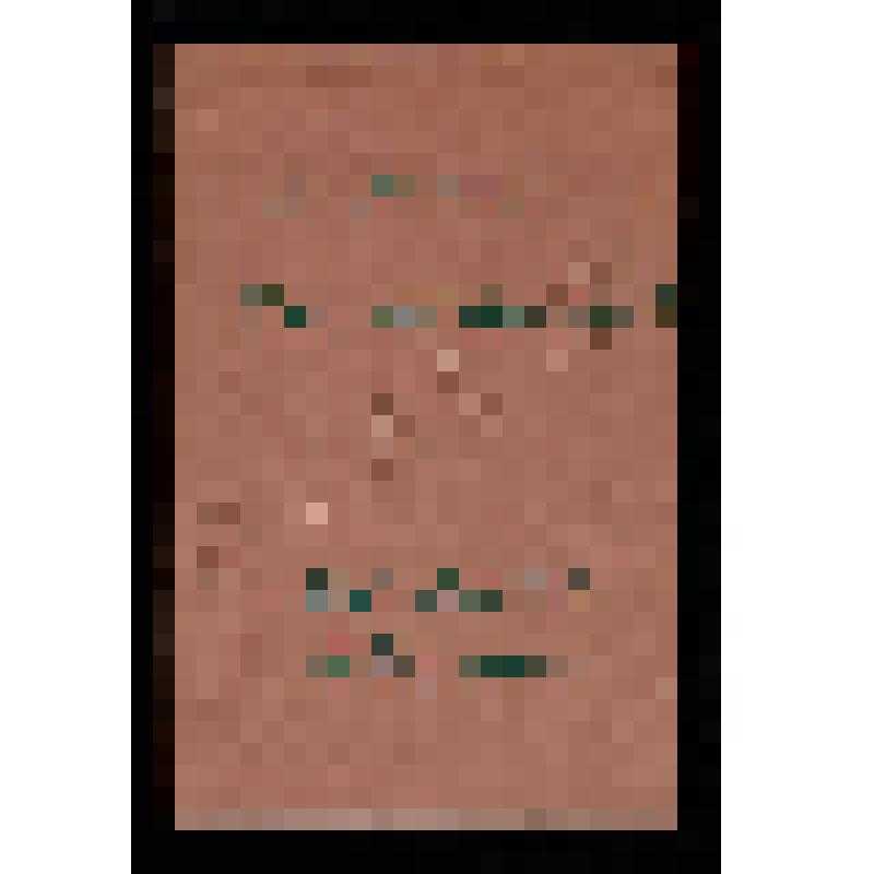 Вырезка. Лесков Н. Царская коронация //Исторический вестник.-1881, июнь.-