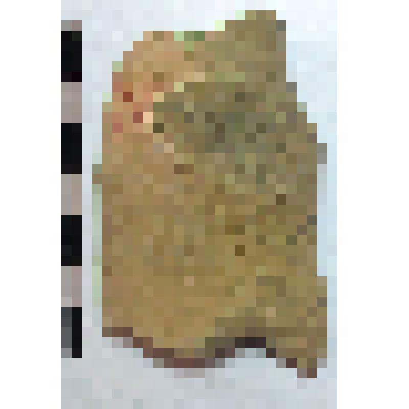 Фрагмент средней части горла амфоры типа D с дипинти