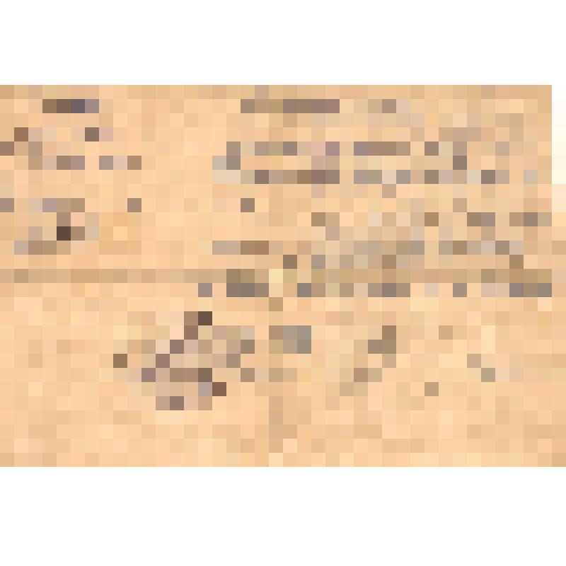 Документ. Удостоверение № 4/118 Борнашова С.В.. в том, что имеющийся у него трофейный пистолет "Парабеллум" 5/42 №8075 выпуска 1937 г., подарен ему командиром соединения "За отличные боевые действия в г. Сталинграде и за спасение командующего части"