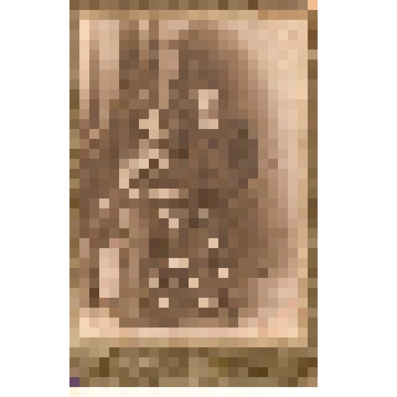 Чапляев Козьма Филиппович с женой