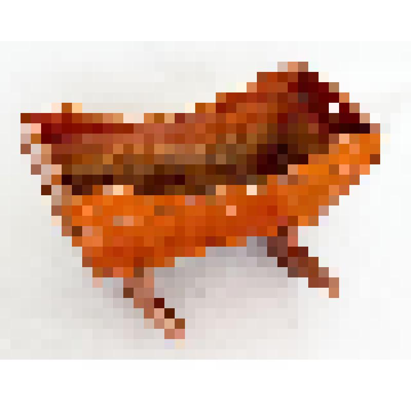 Колыбель