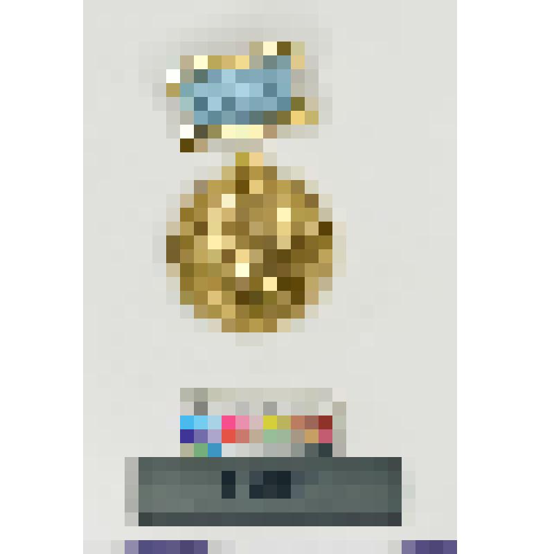 СССР. Лауреат международной премии АПН им. Пабло Неруды