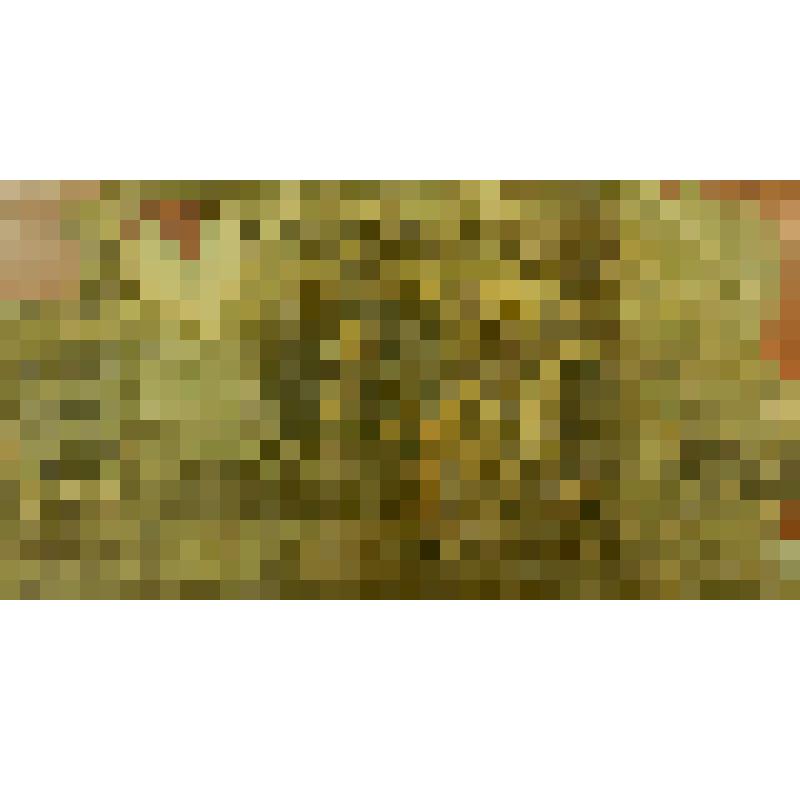 Банкнота 100 рублей 1918 года