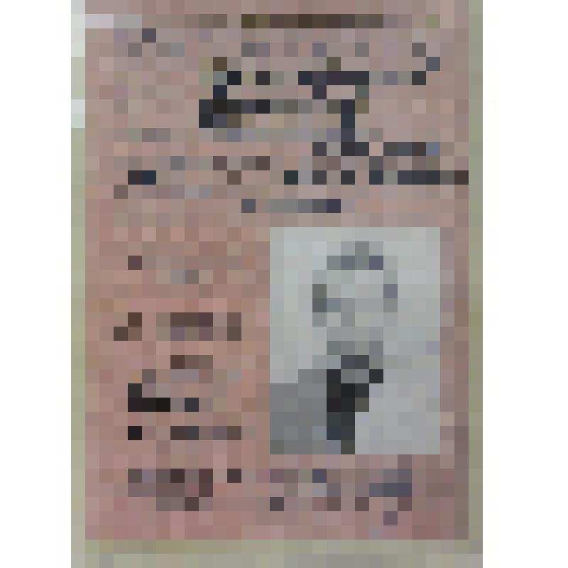 Водительское удостоверение 
№ 023442 на имя Темирбулатова Д. К. (подделка)