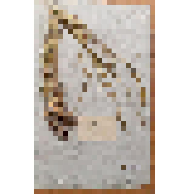 Гербарный лист. Лисохвост луговой