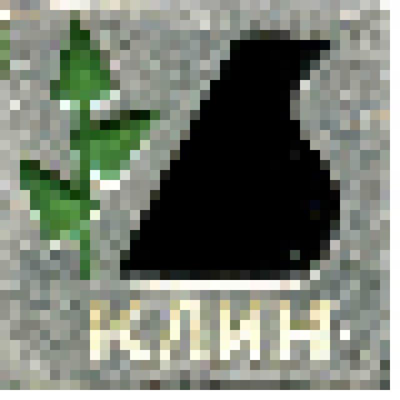 Значок. Клин, на булавке. СССР