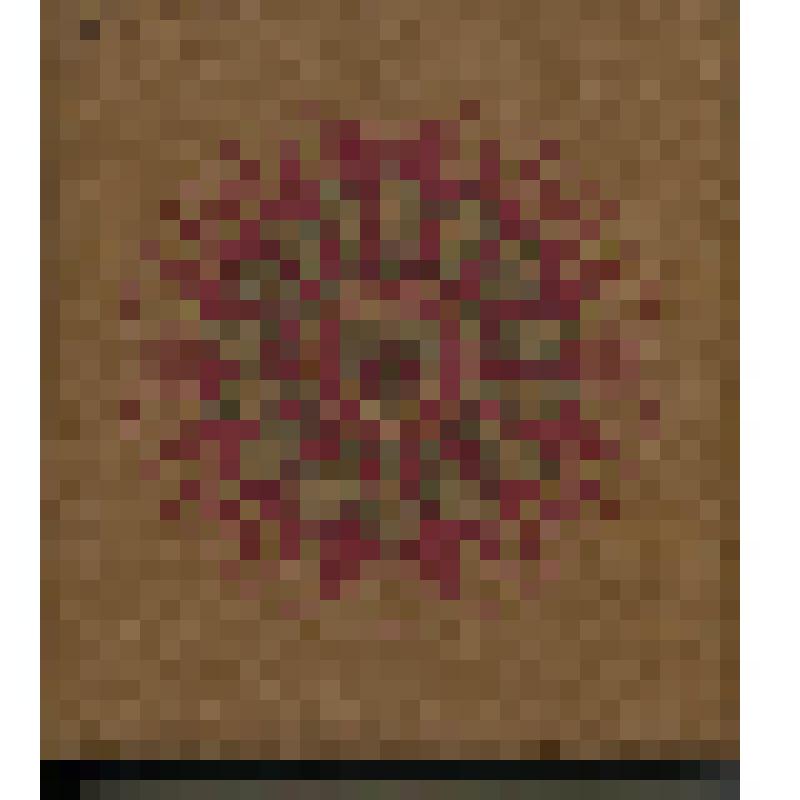 Альбом с фотографиями. Альбом "Рапорт пионерской дружины имени Н. Гастелло Рязанскому городскому комитету ВЛКСМ"