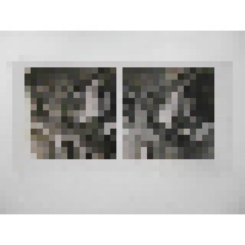 Франция, Версаль. Лестница королевы. Фрагмент лестницы. Neue Photographische Geseltschaft A. G. Berlin-Steglitz