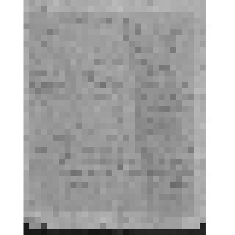 Завещание двух друзей М.Д.Курбатова и А.Д. Нелидова