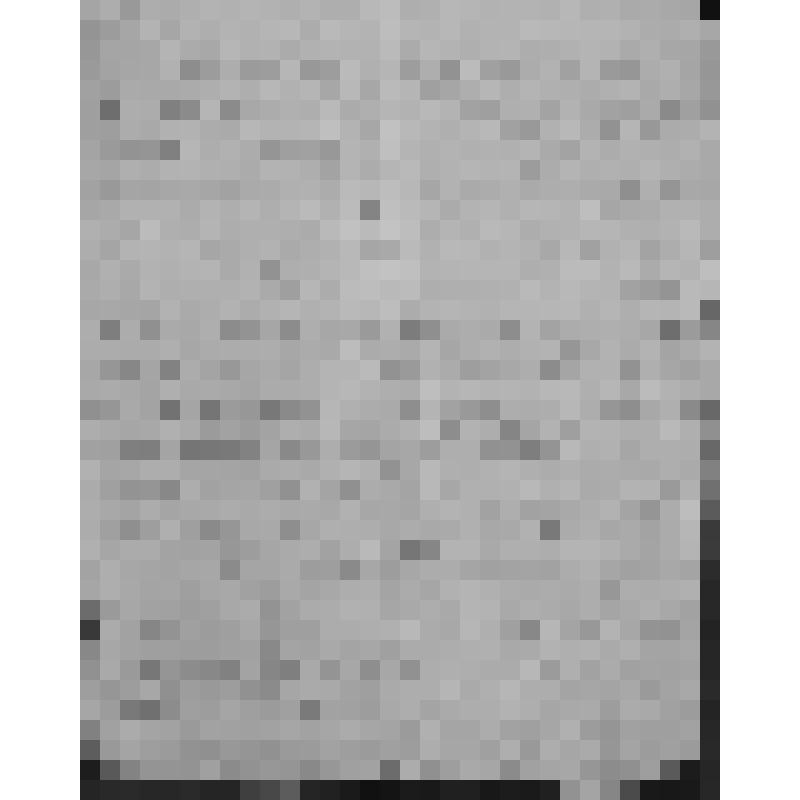 Завещание двух друзей М.Д.Курбатова и А.Д. Нелидова