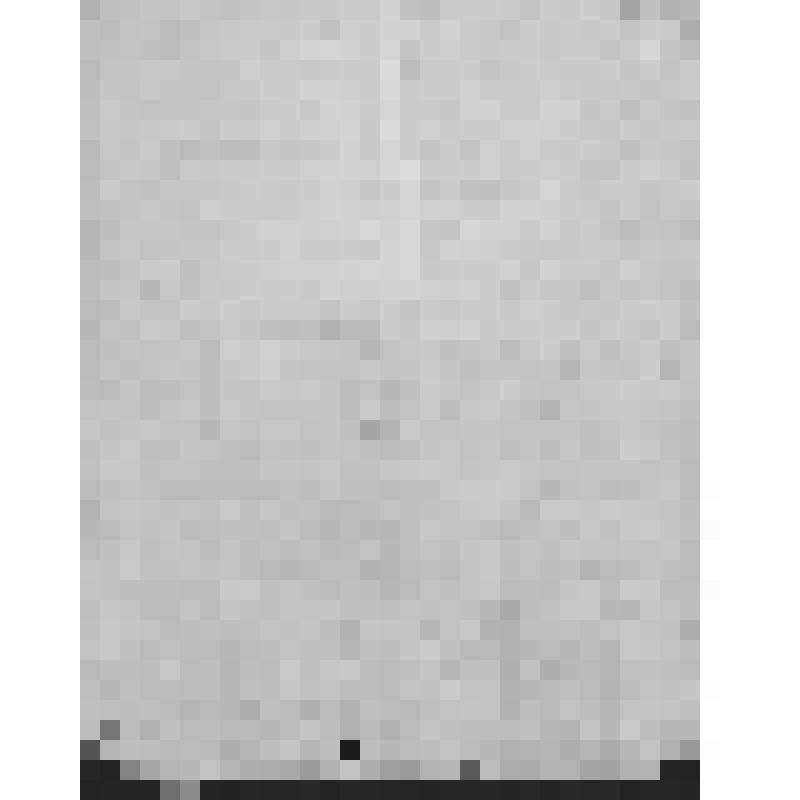 Завещание двух друзей М.Д.Курбатова и А.Д. Нелидова