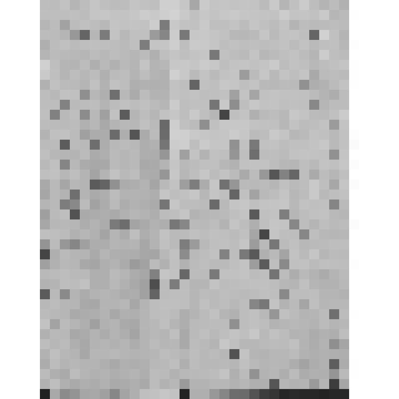 Завещание двух друзей М.Д.Курбатова и А.Д. Нелидова