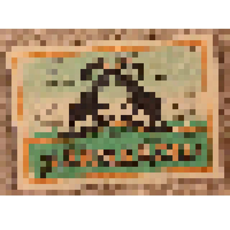 Этикетка бутылочная к минеральной воде «Кармадон» производства Орджоникидзевского пивзавода, из коллекции этикеток бутылочных к минеральной воде, безалкогольным напиткам, сокам, сиропам