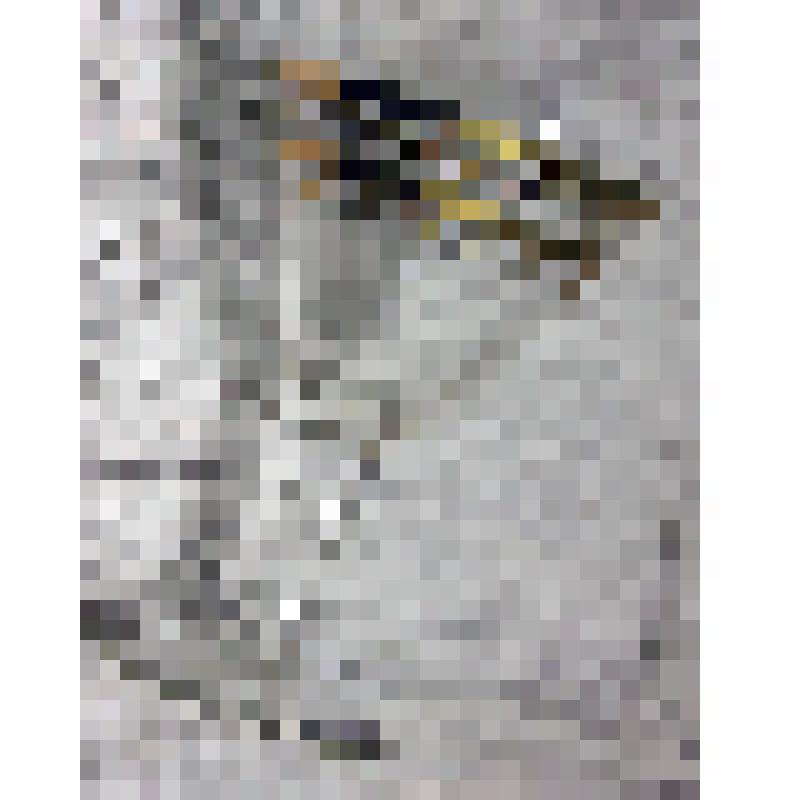 Рюмка для десертных вин прозрачного бесцветного стекла с четырьмя золотистыми декоративными полосами на тулове. Из набора, из коллекции документальных, фотографических и вещевых материалов о Миловидовой Инне Борисовне (1929-2009), кандидате биологических