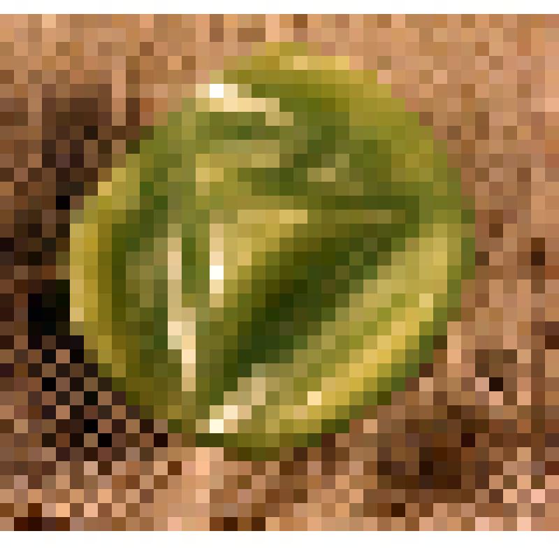 Пуговица зеленая на ножке, из коллекции бытовых предметов семьи Соломоновой Любови Яковлевны, зам.директора СОМК по развитию музея