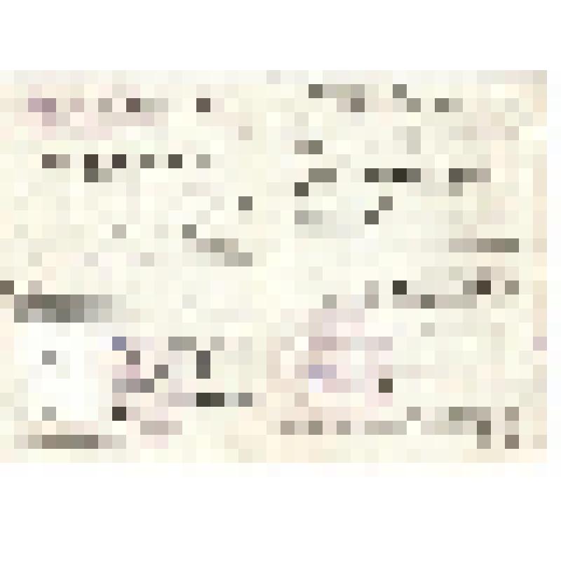 Свидетельство Похвистневской автошколы ДОСААФ города Похвистнево Куйбышевской области №263522 Пивкина Н. об окончании курса обучения по специальности: "Мастер практической езды" от 2 сентября 1977 года