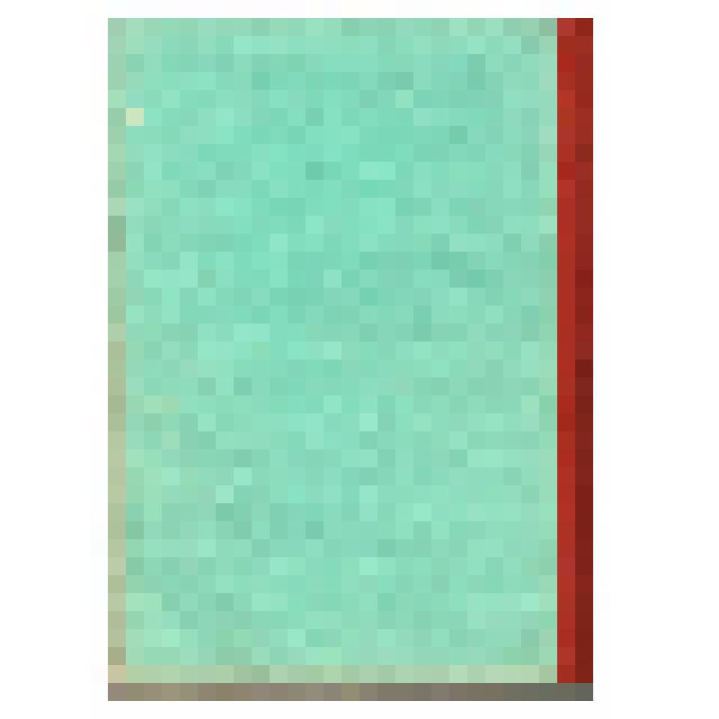 Документ. Рукопись "Стихи и поэмы". Том II