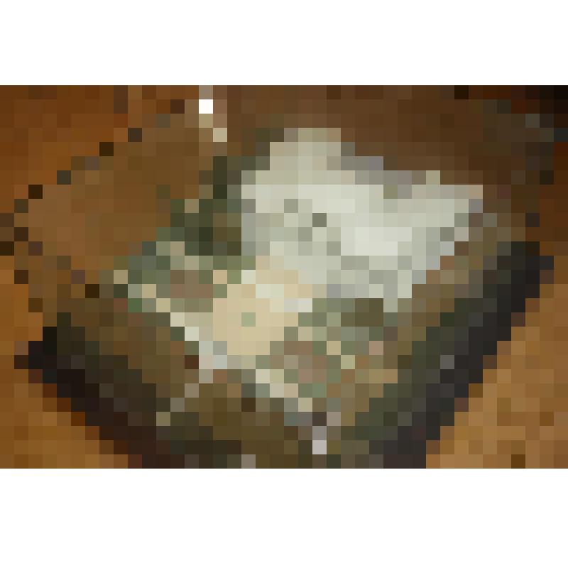 Санаторный корпус Санатория "Красное Знамя" ЦК КПСС (далее. Главный корпус Дачи "Мисхор"). Санаторный комплекс "Дюльбер" (ранее Великокняжеская резиденция "Дюльбер" с дворцовым комплексом). Алупкинское шоссе, 9. 1955-1958 гг.; Санаторный комплекс "Дюльбер