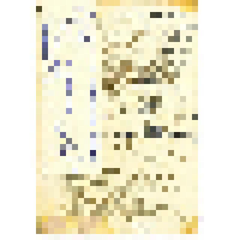 Фотопортрет. Группа студентов: С.Ширванский, Борис Гамалей,  К.Катайцев