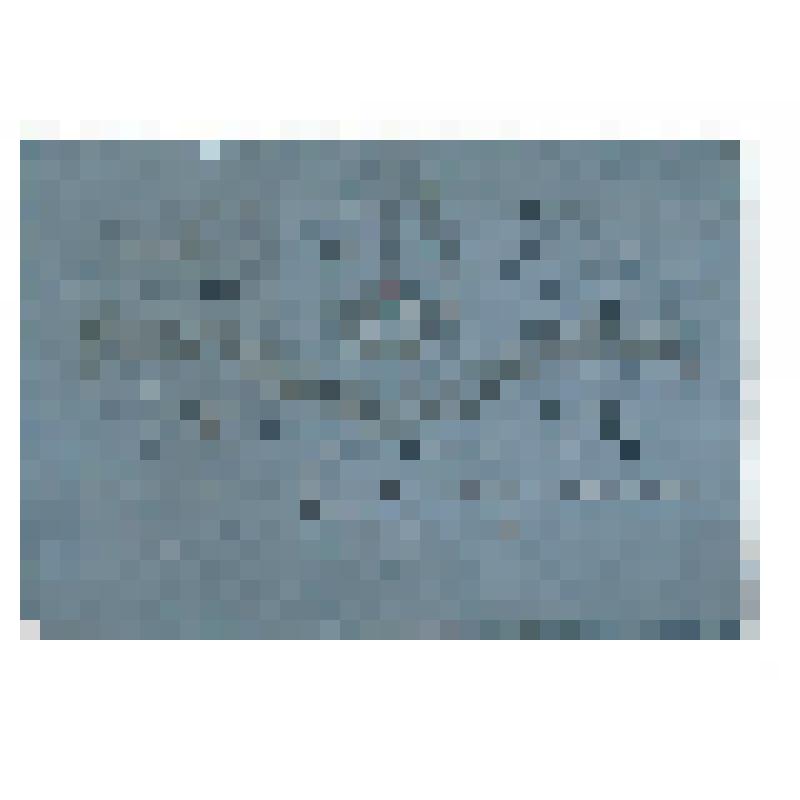 Билет члена общества. Билет члена симфонического общества на имя графа Апраксина (А.И.?)