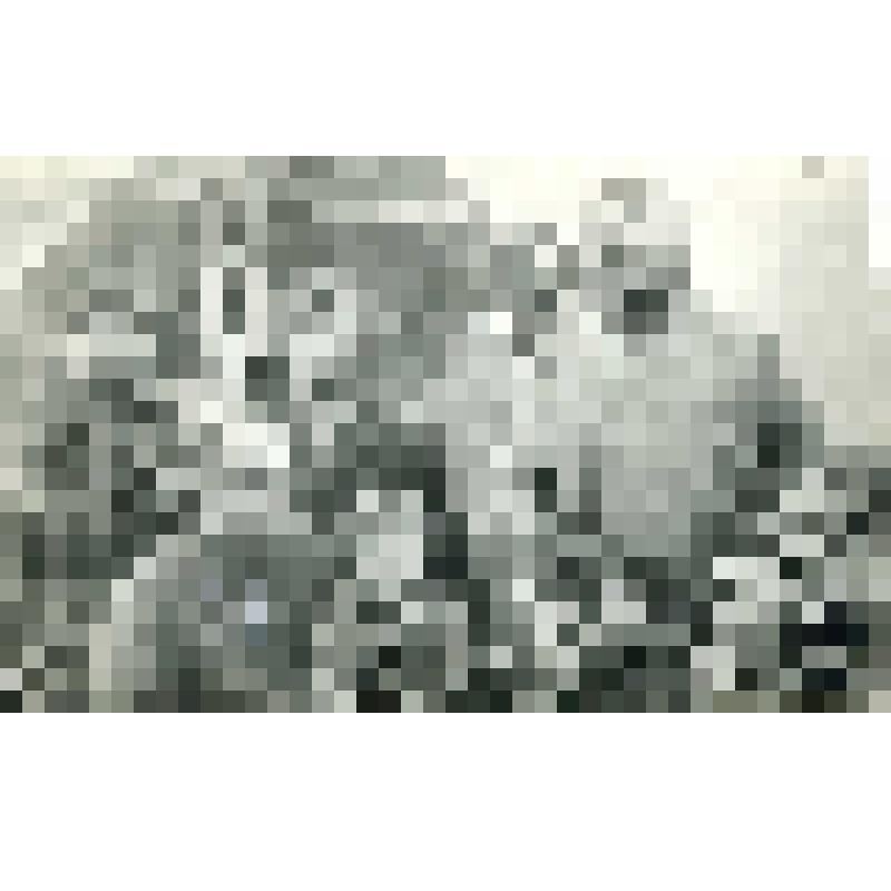 Евладов В.П. (первый слева в первом ряду) в гостях у семьи остяков Тибити. Фотография