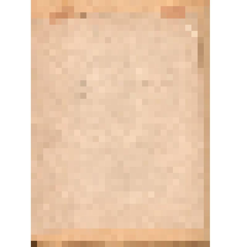 Портрет "Гвардии лейтенант Канайкин  В. - командир роты ПТР 186 гв. сп", 2.05.1943 г