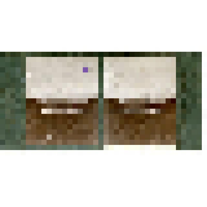 Карточка для стереоскопа «Вид со склона а. Снеговое озеро, вдали Муханские горы». Из коллекции «Кавказ» с видами природы Западного Кавказа, серии 2-№11. Автор фото Н.Л. Минервин