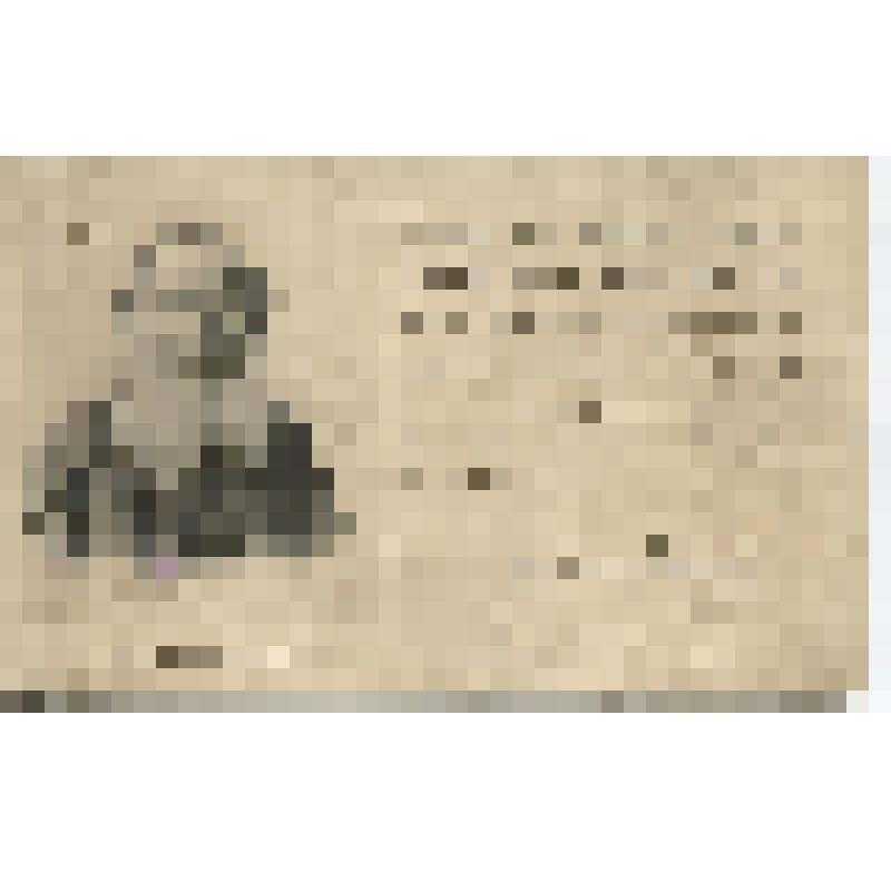 Открытка, посвященная кончине Л.Н.Толстого