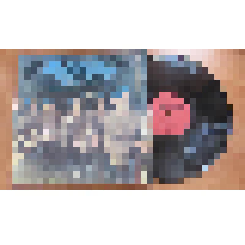 Грампластинка