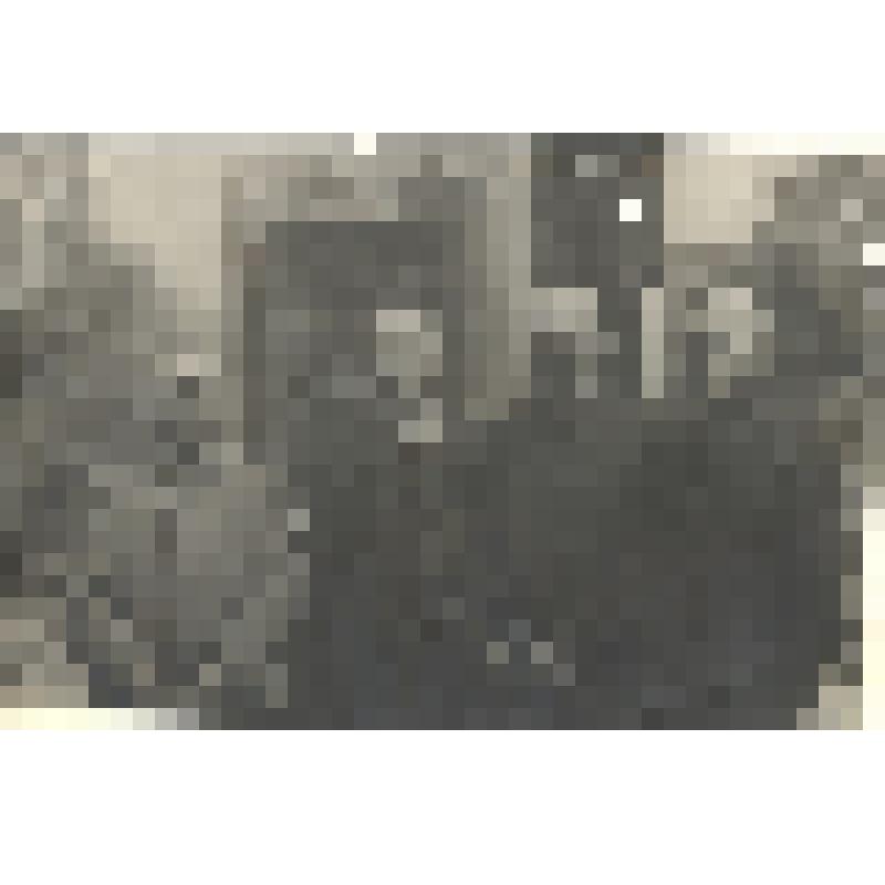 Фото ч/б групповое