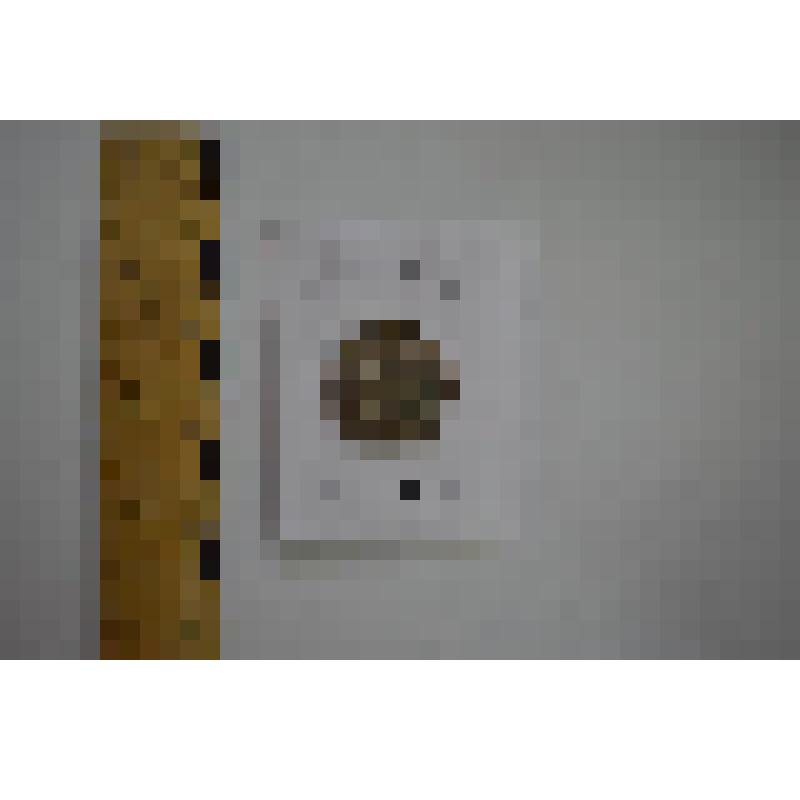 Монета