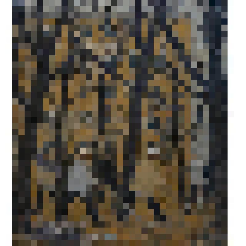 Субботник. Сбор листьев