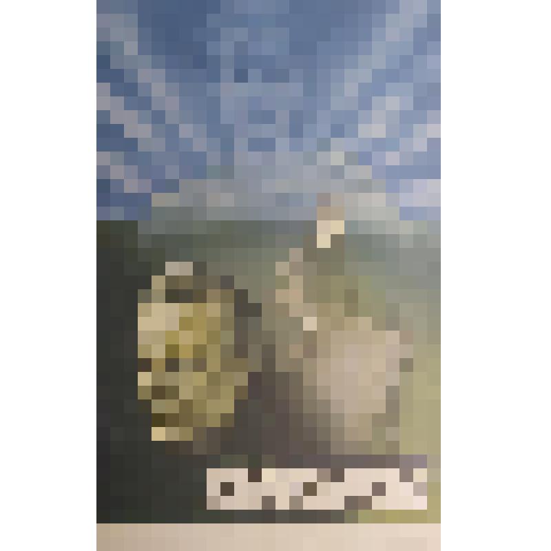 плакат. Фильм: Завещание. 1986