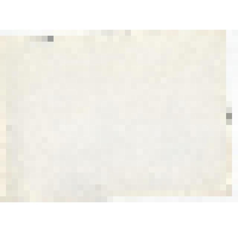 Фотография. Встреча ветеранов 310 стрелковой дивизии на киришской земле 24 февраля 1969г