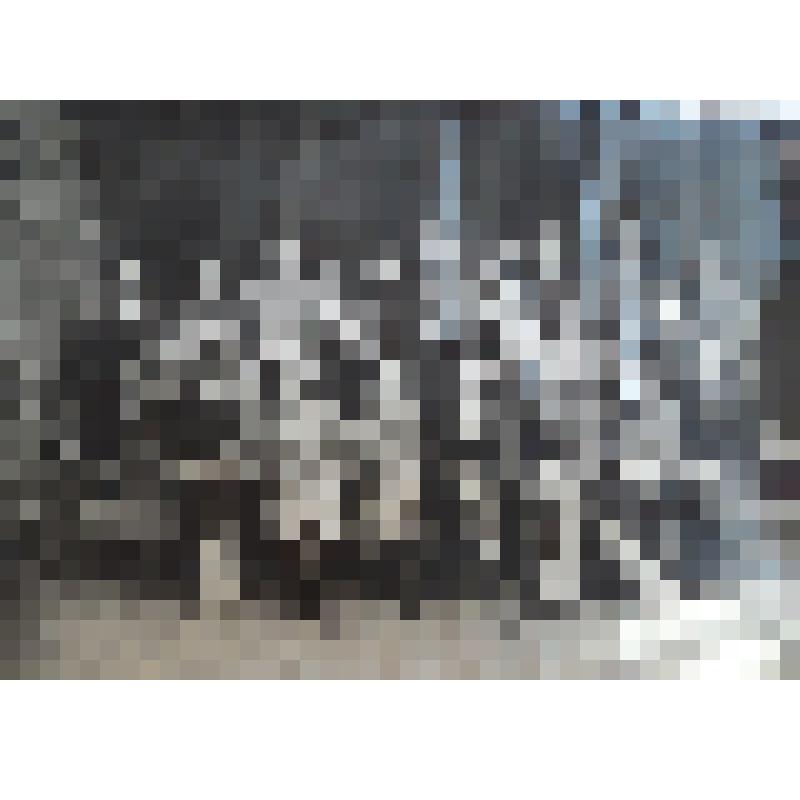 Фотография. Советская медшкола, ноябрь 1941 г