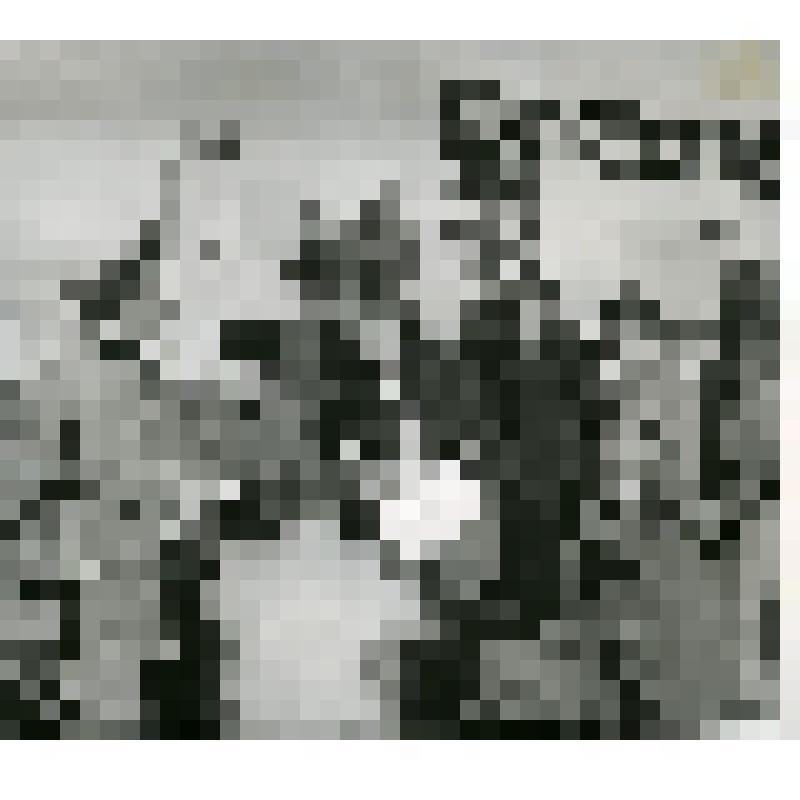 Обсуждение тезисов доклада Н.С. Хрущева на XXI съезде КПСС